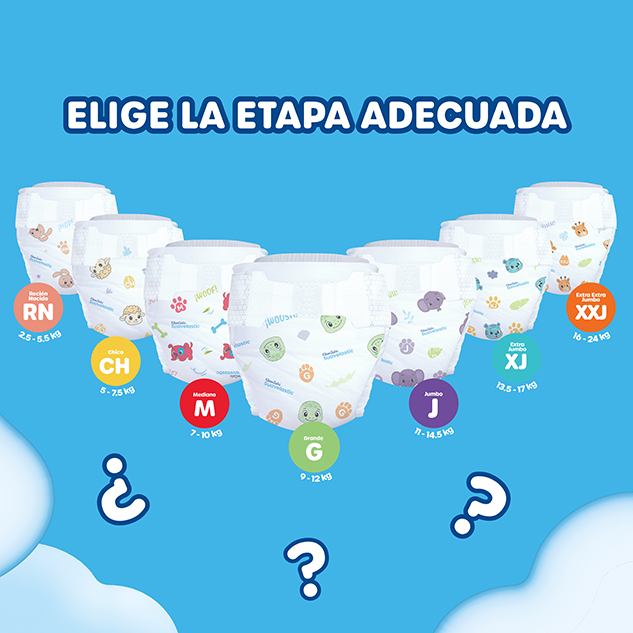 Etapas de pañales, recién nacido, chico, mediano , grande, jumbo, extra jumbo, extra extra jumbo
